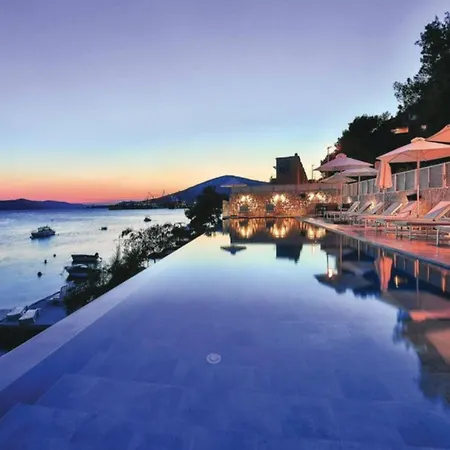 Livingstone House فيلة